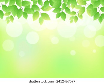 Shining fresh green background frame