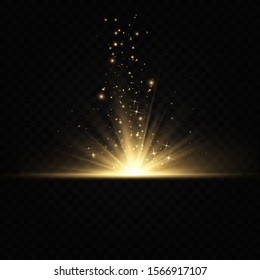 Shining golden stars isolated on black background. Effects, glare, lines, glitter, explosion, golden light. Vector illustration.Set. 
