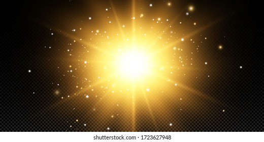 Shining golden stars isolated on black background. Effects, glare, lines, glitter, explosion, golden light. Vector illustration