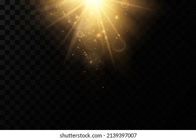 Shining golden stars. Light effects, glare, glitter, explosion, golden light. Vector illustration.Bright flash.