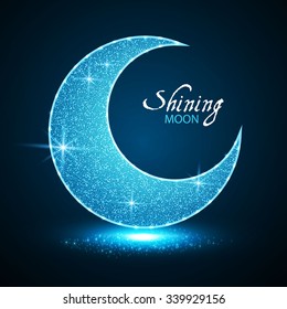 Shining Moon. Elegant Night Design. Vector illustration