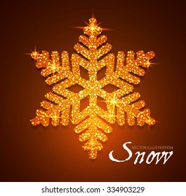Shining Snowflake. Elegant Christmas & Winter Element. Vector illustration