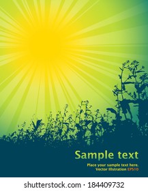 Shining spring sun with flowers on the background and dark green text field. Vector illustration.