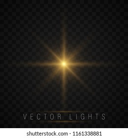 Shining star, the sun particles and sparks with a highlight effect, color bokeh lights glitter and sequins. On a dark background transparent. Vector, EPS10