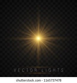 Shining star, the sun particles and sparks with a highlight effect, color bokeh lights glitter and sequins. On a dark background transparent. Vector, EPS10