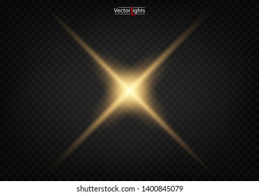 Shining star, the sun particles and sparks with a highlight effect, color bokeh lights glitter and sequins. On a dark background transparent. Vector, EPS10