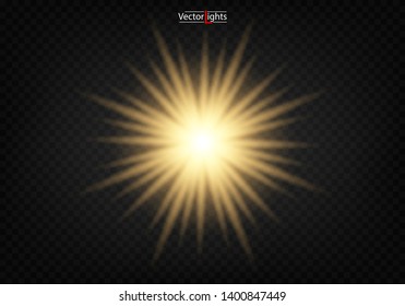 Shining star, the sun particles and sparks with a highlight effect, color bokeh lights glitter and sequins. On a dark background transparent. Vector, EPS10
