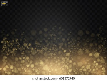 Shining star, the sun particles and sparks with a highlight effect, golden bokeh lights glitter and sequins. On a dark background transparent. Vector, EPS10