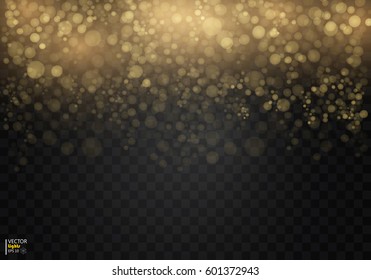 Shining star, the sun particles and sparks with a highlight effect, golden bokeh lights glitter and sequins. On a dark background transparent. Vector, EPS10