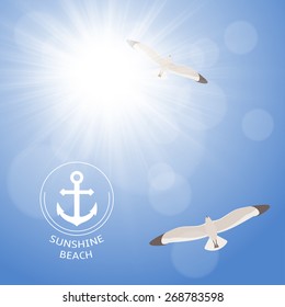 Shining summer sun at clear blue sky with seagulls. Two seagulls are flying high in the sky through the sunlight rays.