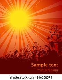 Shining summer sun with flowers on the background and dark red text field. Vector illustration.