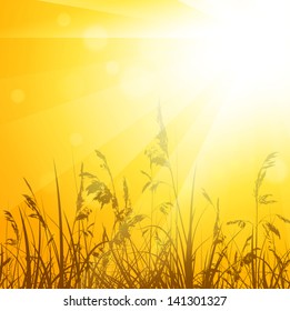 Shiny Abstract Summer Meadow With Grass