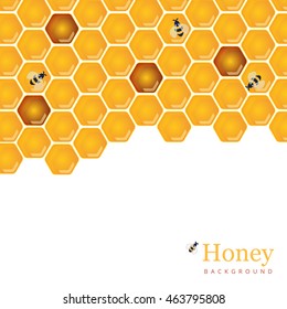 Shiny amber honey comb and bees background design. Vector natural apiary and beekeeper template