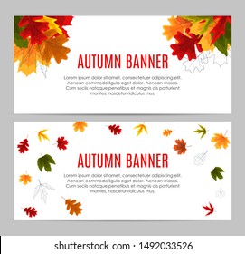 Shiny Autumn Leaves Banner. Business Discount Card. Vector Illustration EPS10