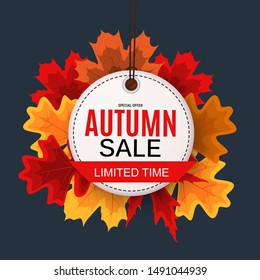 Shiny Autumn Leaves Sale Banner. Business Discount Card. Vector Illustration EPS10