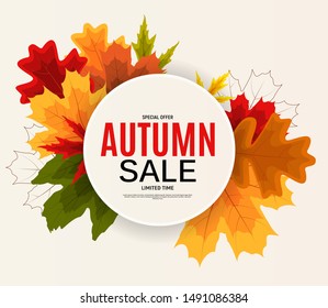 Shiny Autumn Leaves Sale Banner. Business Discount Card. Vector Illustration EPS10