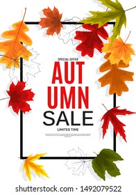 Shiny Autumn Leaves Sale Banner. Business Discount Card. Vector Illustration EPS10