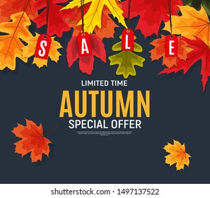 Shiny Autumn Leaves Sale Banner. Business Discount Card. Vector Illustration EPS10
