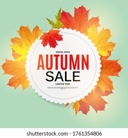 Shiny Autumn Leaves Sale Banner. Business Discount Card. Vector Illustration EPS10