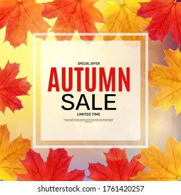 Shiny Autumn Leaves Sale Banner. Business Discount Card. Vector Illustration EPS10