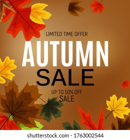 Shiny Autumn Leaves Sale Banner. Business Discount Card. Vector Illustration EPS10