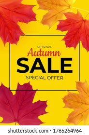 Shiny Autumn Leaves Sale Banner. Business Discount Card. Vector Illustration EPS10