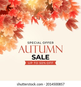 Shiny Autumn Leaves Sale Banner. Business Discount Card. Vector Illustration EPS10