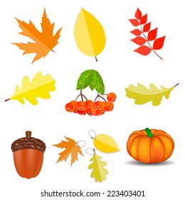 Shiny Autumn Natural Icons  Vector Illustration 