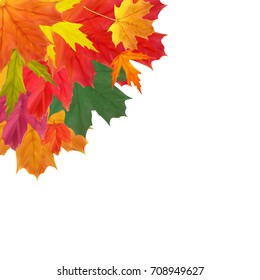 Shiny Autumn Natural Leaves Background. Vector Illustration EPS10