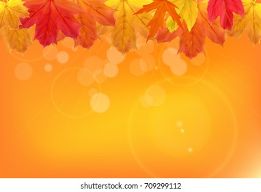 Shiny Autumn Natural Leaves Background. Vector Illustration EPS10