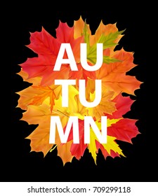 Shiny Autumn Natural Leaves Background. Vector Illustration EPS10