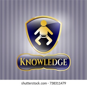  Shiny badge with baby icon and Knowledge text inside