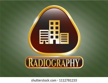   Shiny badge with buildings icon and Radiography text inside