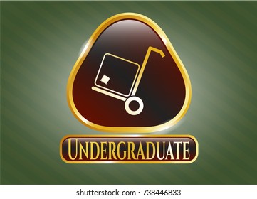  Shiny badge with cargo icon and Undergraduate text inside