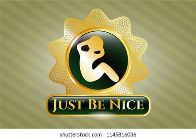  Shiny badge with crunch icon and Just Be Nice text inside