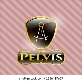  Shiny badge with drawing compass icon and Pelvis text inside