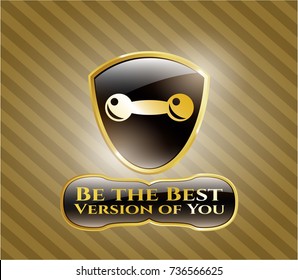  Shiny badge with dumbbell icon and Be the Best Version of You text inside