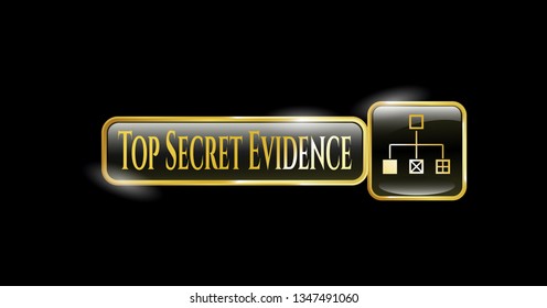  Shiny badge with flowchart icon and Top Secret Evidence text inside