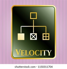  Shiny badge with flowchart icon and Velocity text inside