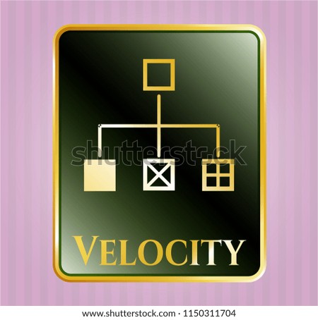 Shiny badge with flowchart icon and Velocity text inside