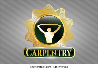  Shiny badge with lat pull down, exercise icon and Carpentry text inside