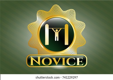  Shiny badge with pull up icon and Novice text inside