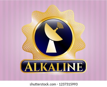  Shiny badge with radar icon and Alkaline text inside