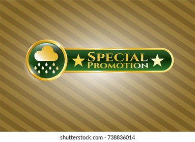  Shiny badge with rain icon and Special Promotion text inside
