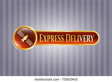  Shiny badge with satelite icon and Express Delivery text inside