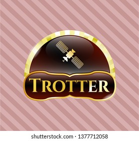  Shiny badge with satelite icon and Trotter text inside