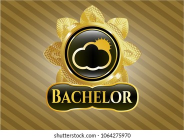  Shiny badge with sun behind cloud icon and Bachelor text inside