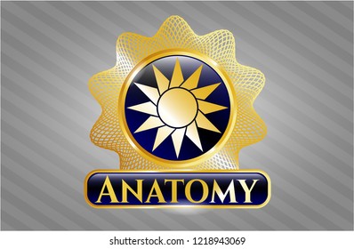  Shiny badge with sun icon and Anatomy text inside