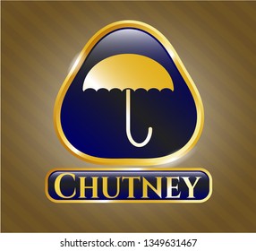  Shiny badge with umbrella icon and Chutney text inside