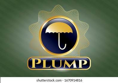  Shiny badge with umbrella icon and Plump text inside
